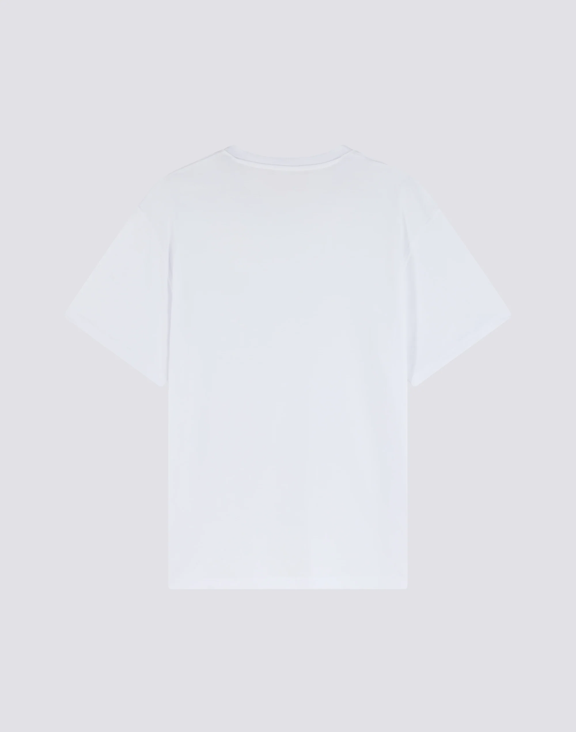 T-SHIRT CAPSULE PELO - CHILLING POODLE - Image 3