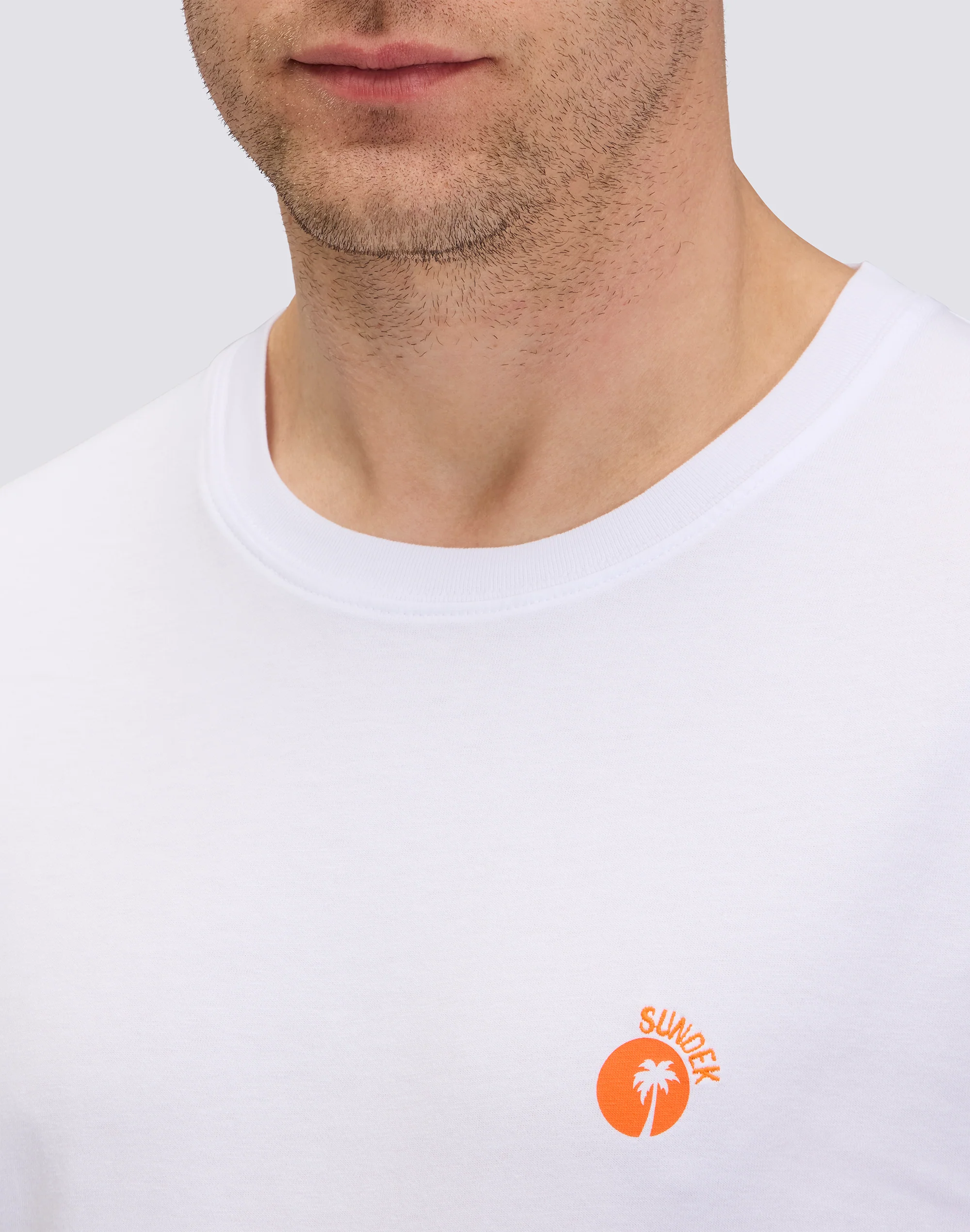 T-SHIRT CAPSULE MICROSTAMPA CON PALMA - Image 4