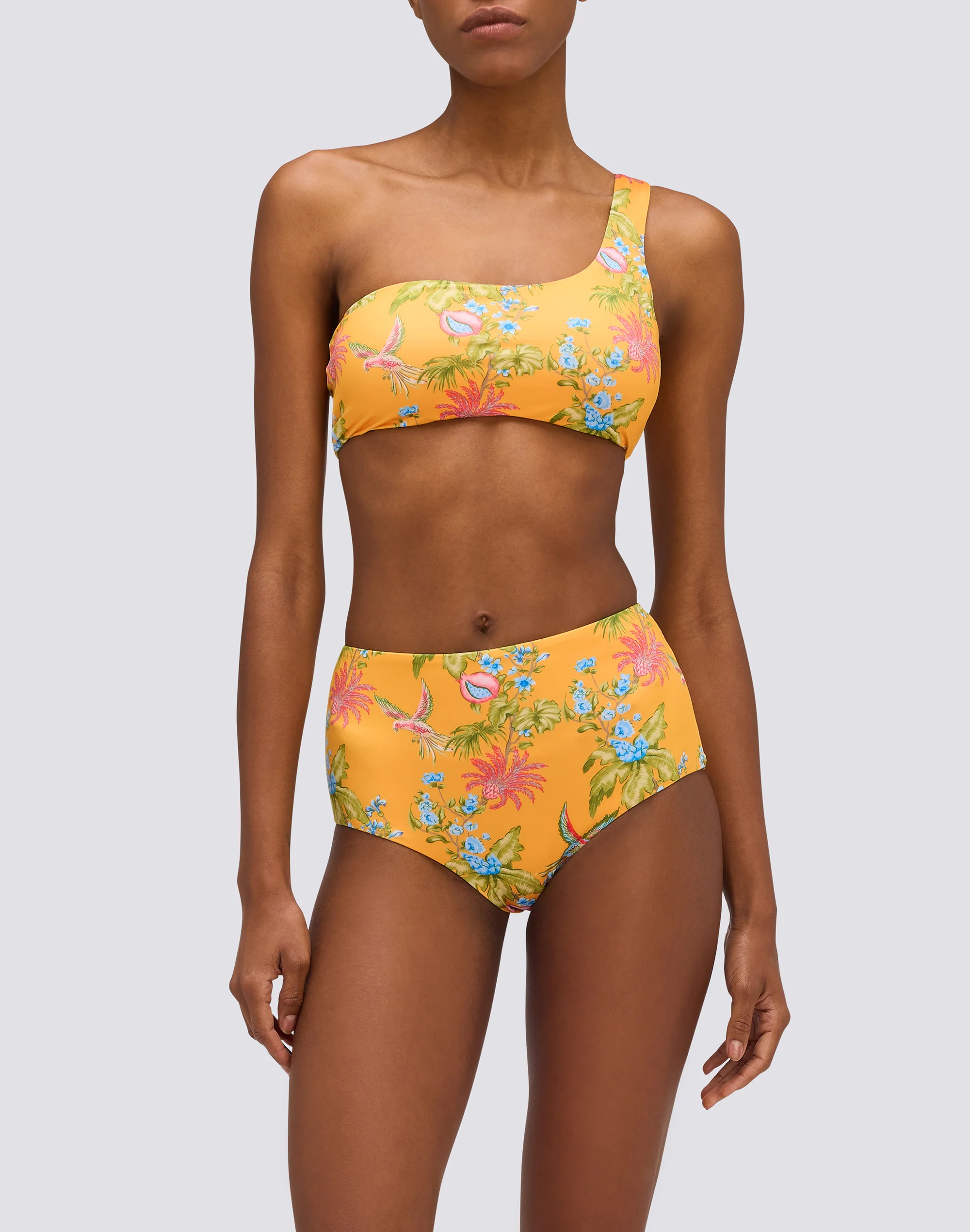 IPANEMA - SLIP CULOTTE A VITA ALTA STAMPA SWEET PARROT - Image 5